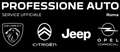 Professione Auto Srl
